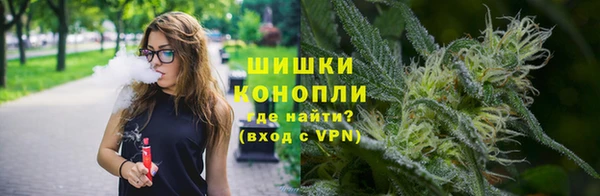 прущие грибы Алзамай