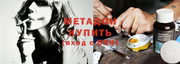 прущие грибы Алзамай