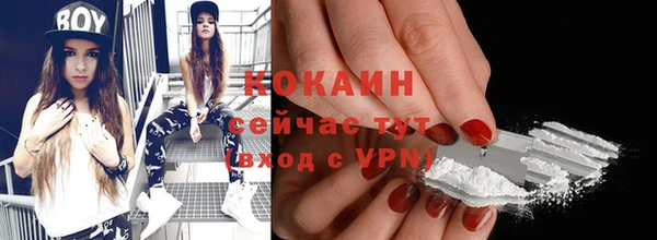 тгк Каменногорск