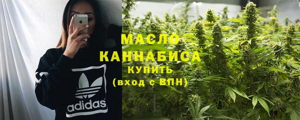 тгк Каменногорск
