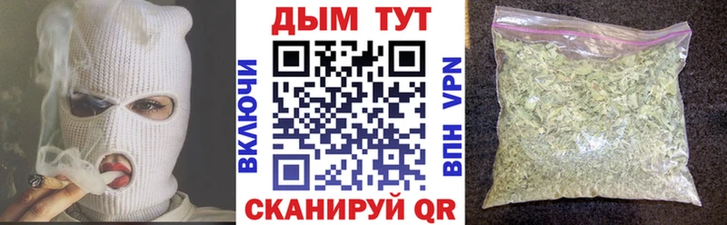 darknet телеграм Клин Бошки Шишки сатива